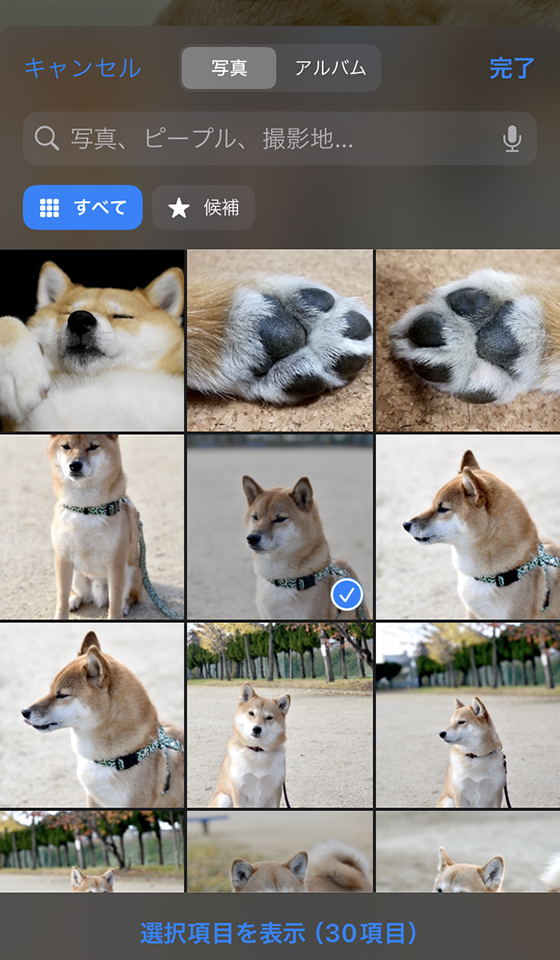 iPhone（iOS17）標準写真アプリのforyou（フォーユー）のメモリーの写真を変える