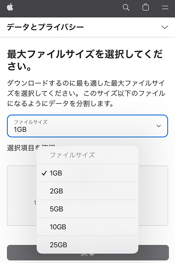 AppleのデータとプライバシーでiCloud写真をコピー