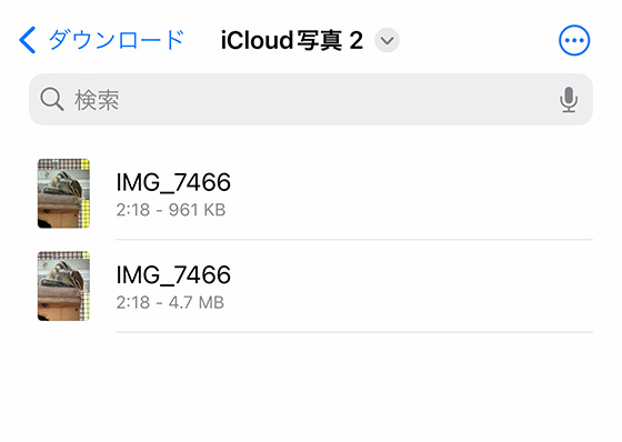 iCloud.com（アイクラウドドットコム）の写真アプリからダウンロードしたライブフォト