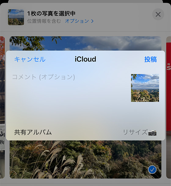 iPhoneの写真を共有アルバムに保存