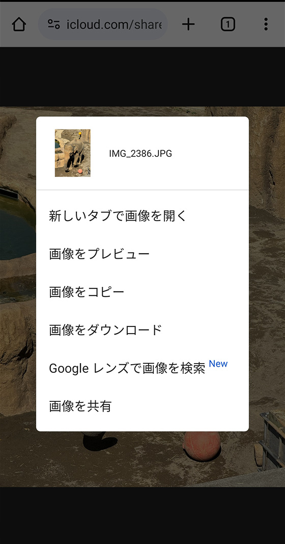 共有アルバム(公開Webサイト)の写真とビデオをAndroidスマホにダウンロード保存