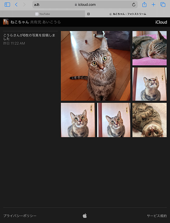 共有アルバム(公開Webサイト)をiPadのSafariブラウザで表示