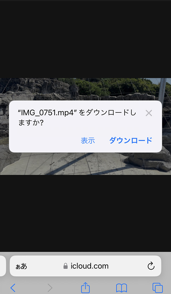 共有アルバム公開Webサイトのビデオ動画をiPhoneにダウンロード保存