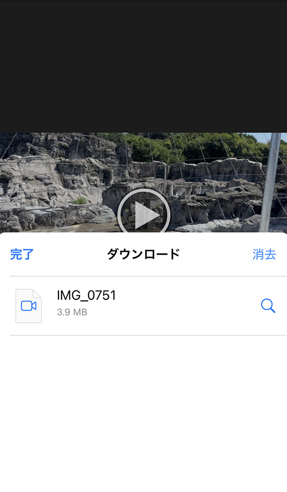 共有アルバム公開Webサイトのビデオ動画をiPhoneにダウンロード保存