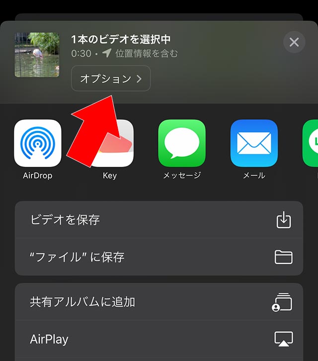 iPhoneの写真共有オプション