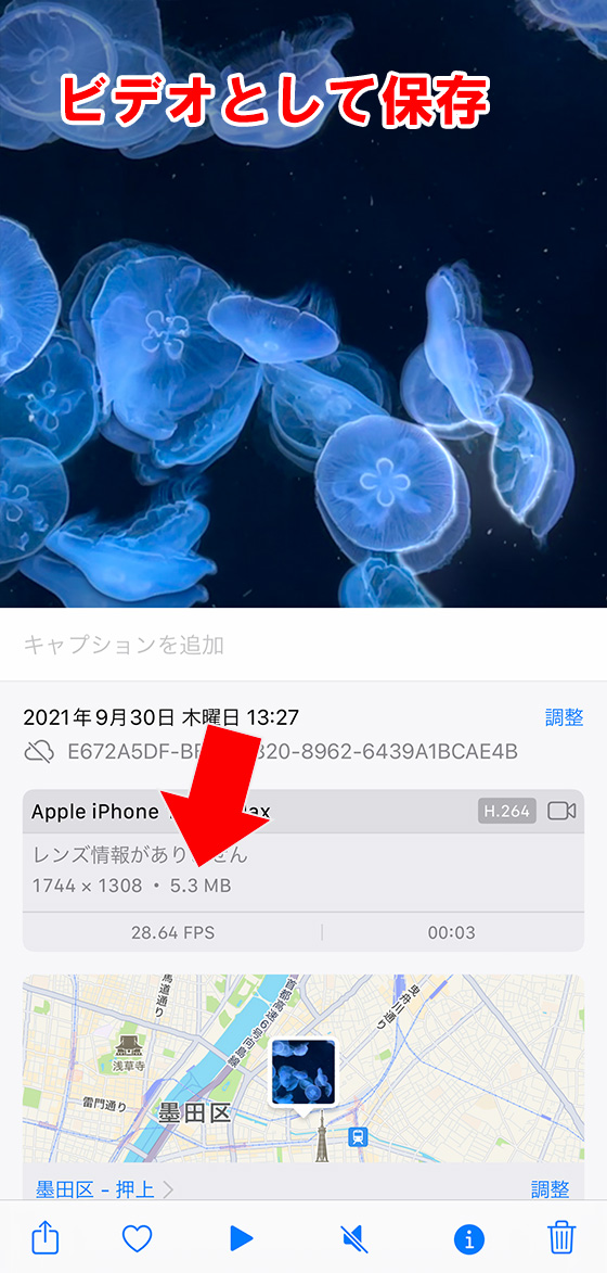 iPhone標準写真アプリでライブフォトの動画部分のファイルサイズを確認