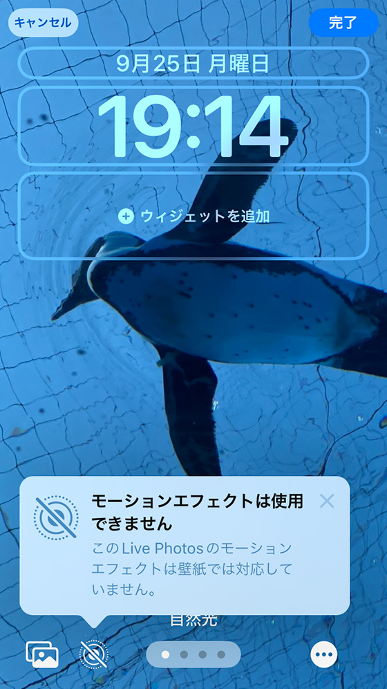 モーションエフェクトは使用できません このLive Photosのモーションエフェクトは壁紙では対応していません