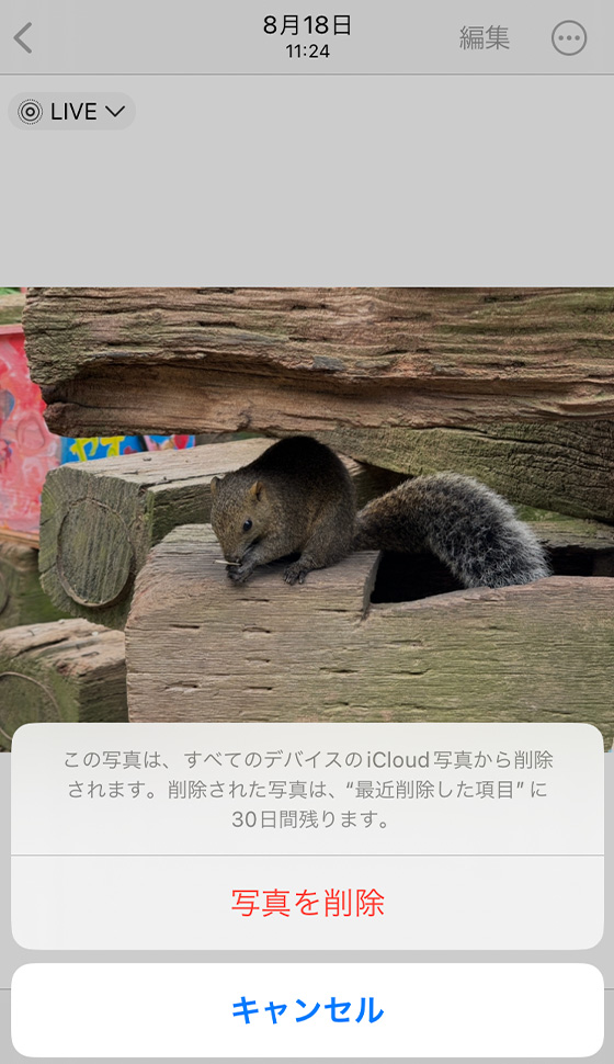 iPhone写真アプリにある「読み込み」アルバム内の写真を削除