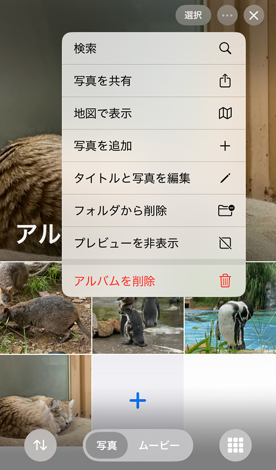 iOS18の写真アプリでアルバムを編集