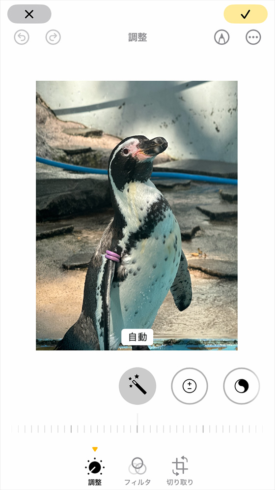 iOS18の写真アプリの編集機能