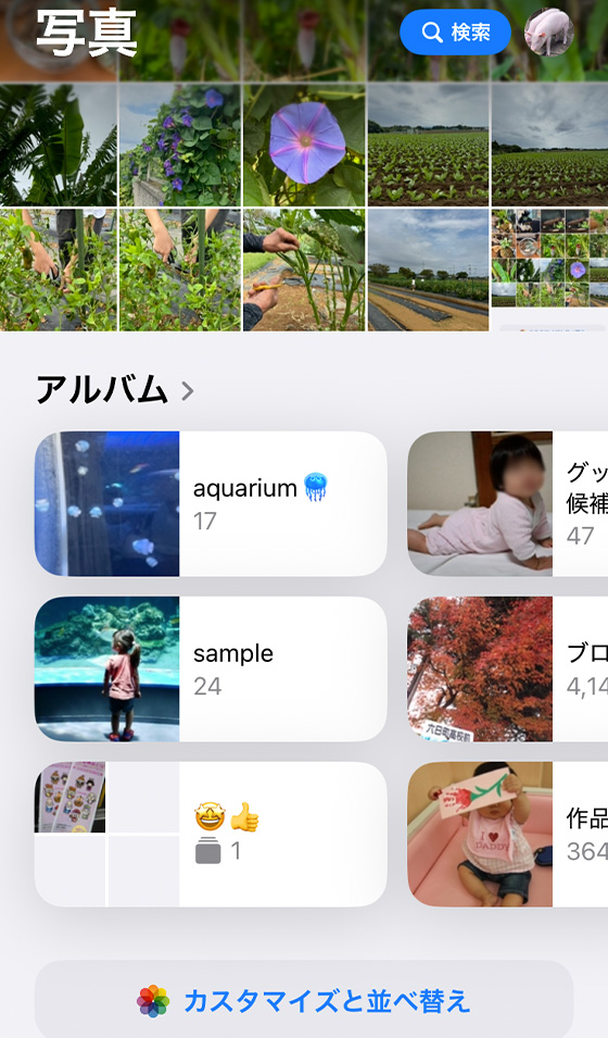 iOS18の写真アプリでコレクションをカスタマイズ