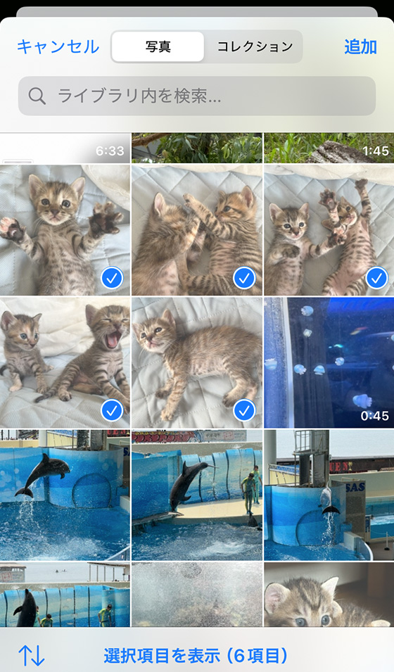 iOS18の写真アプリで共有アルバム作成