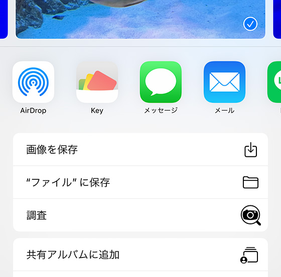 iPhoneの共有メニュー項目（画像を保存・"ファイル"に保存）