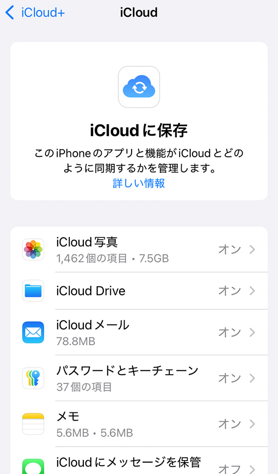 iOS18のiPhone設定アプリでiCloudを表示