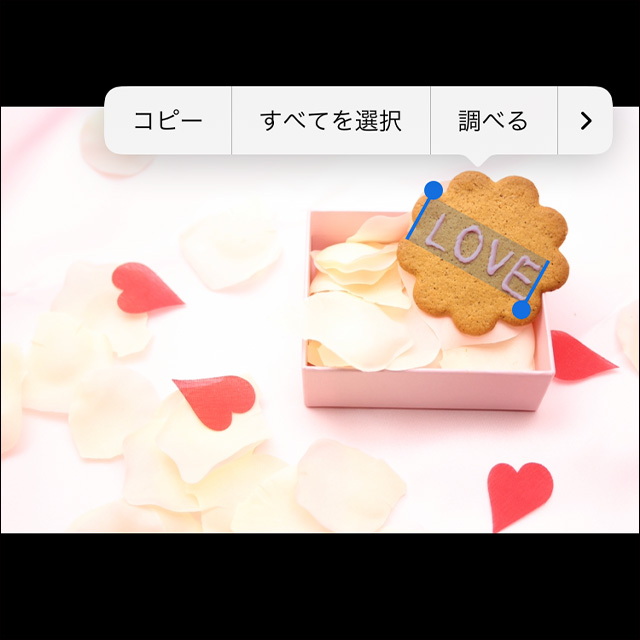 iOS16のiPhoneで写真の被写体のテキストを選択