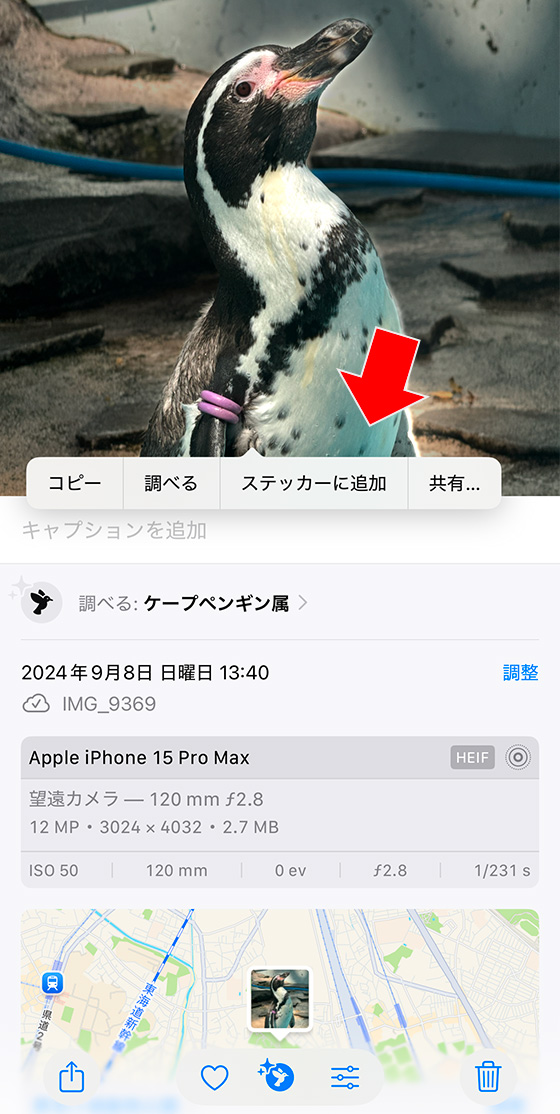 iOS18の写真アプリで画像を調べるボタンをタップして被写体を抜き出す