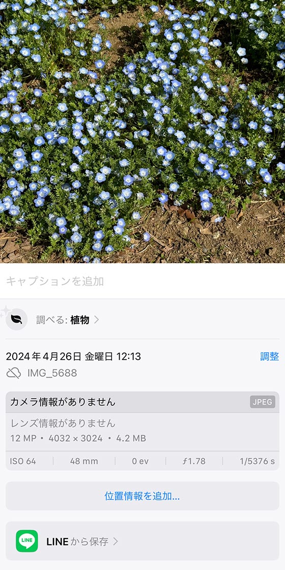 LINEのアルバムの写真をiPhoneにダウンロード保存