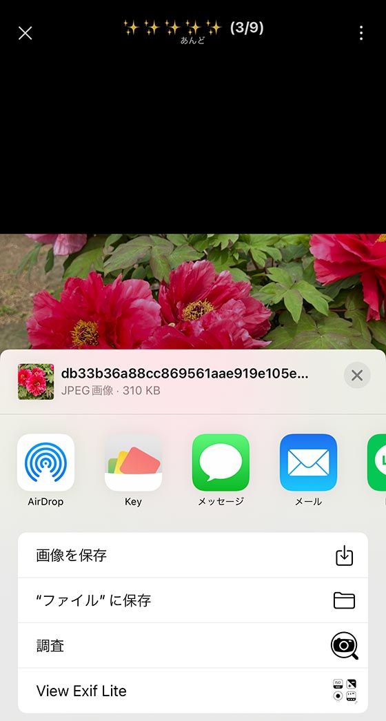 LINEアルバムの写真の撮影日時をiPhoneアプリで調べる